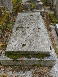 Pierre Daninos