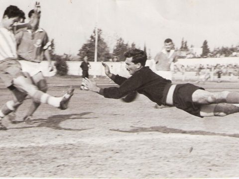Nahum Stelmach