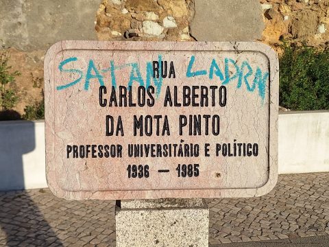 Carlos Mota Pinto