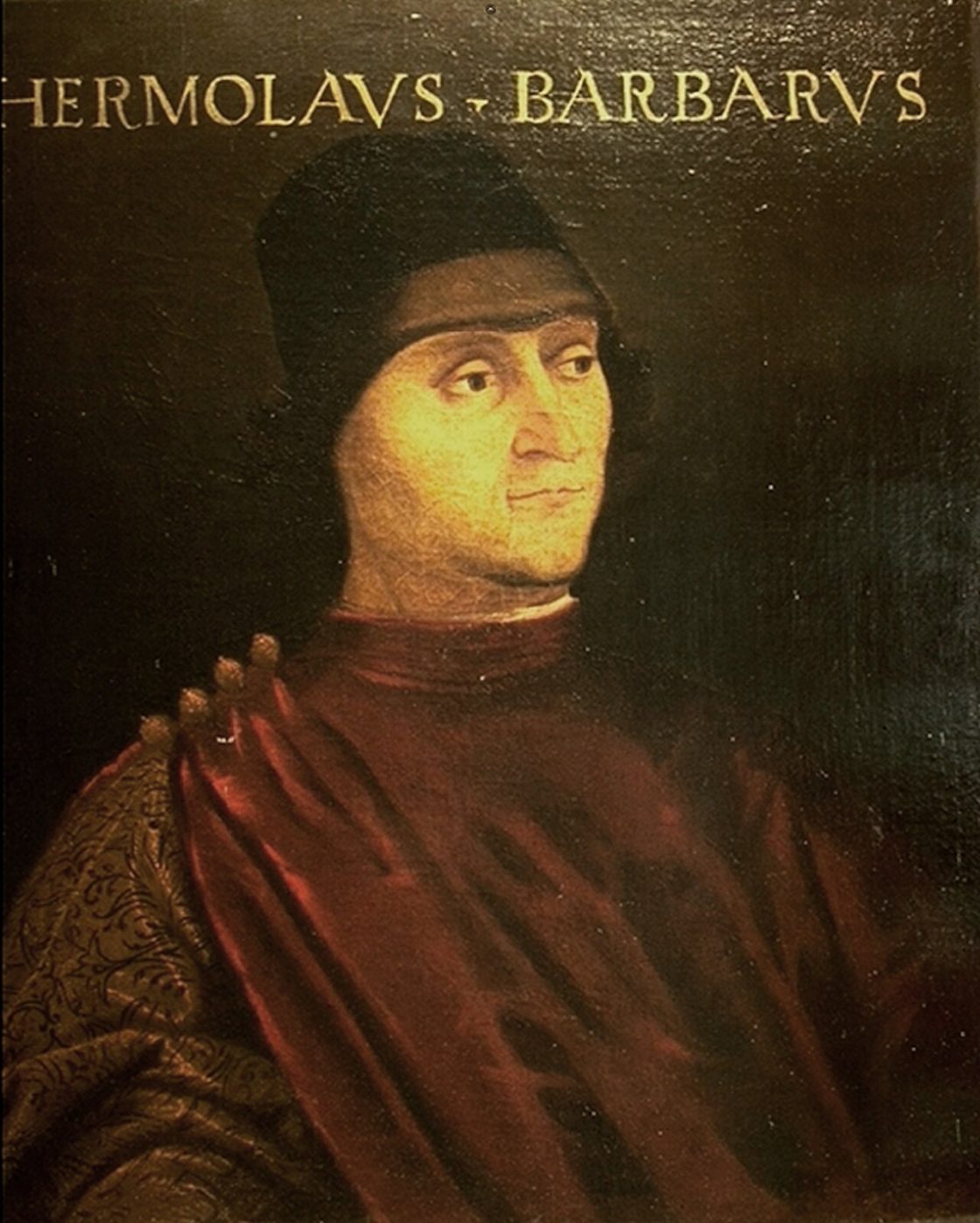 Ermolao Barbaro