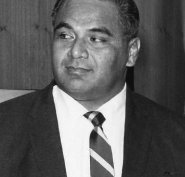 Tu’i Pelehake