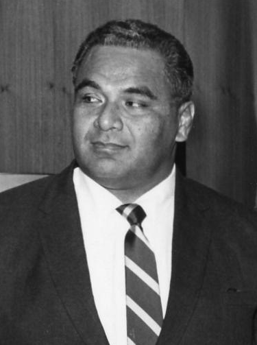 Tu’i Pelehake