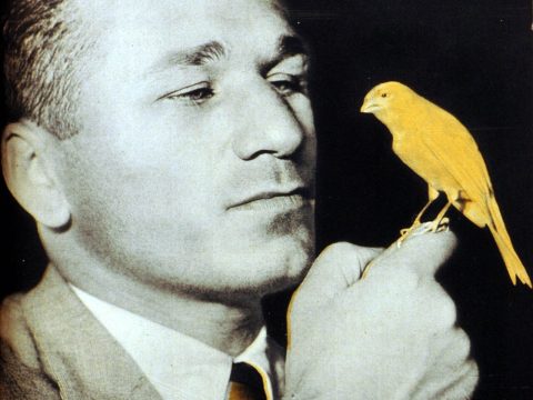 Raúl Landini