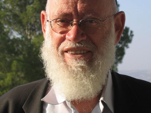 Moshe Levinger