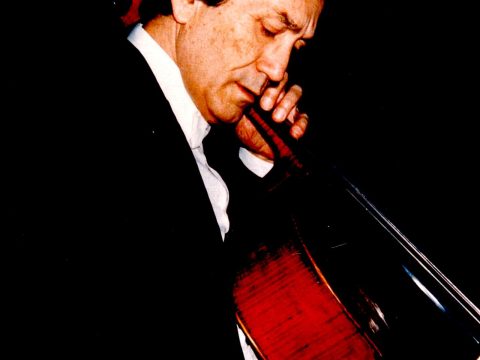 Radu Aldulescu