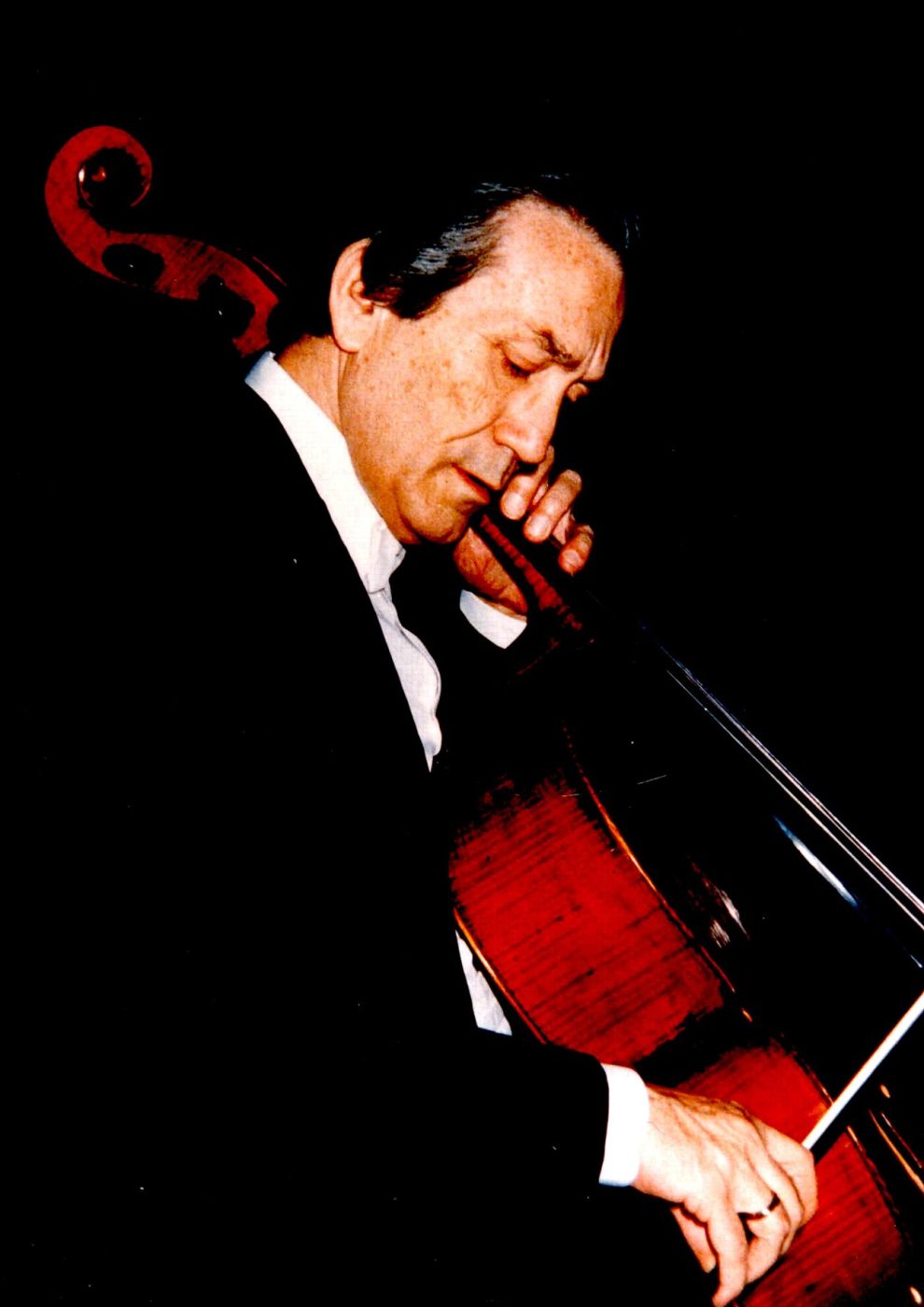 Radu Aldulescu
