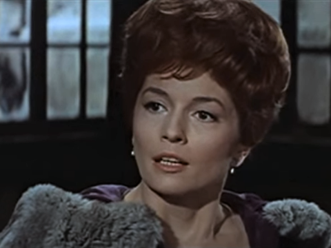 Barbara Shelley