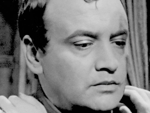 Raymond Pellegrin
