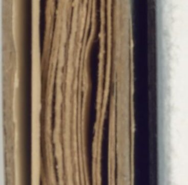 Ben Sharpsteen