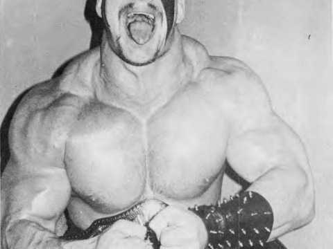 Road Warrior Hawk