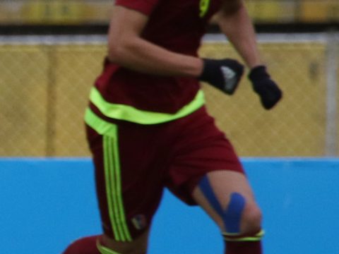 Luis Vargas Peña