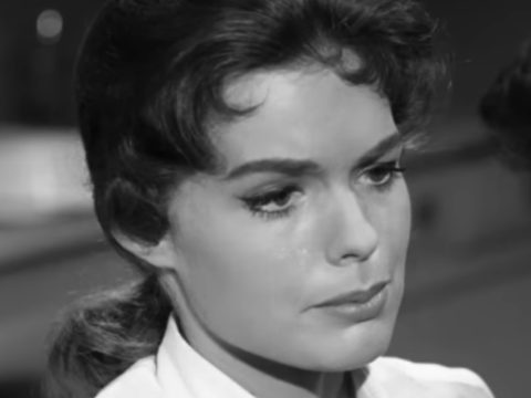 Pamela Lincoln