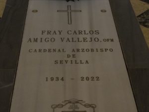 Carlos Amigo Vallejo