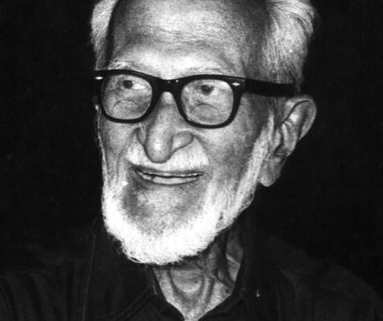 Salim Ali