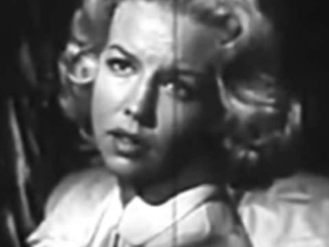 Sally Fraser