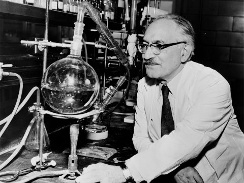 Selman Abraham Waksman