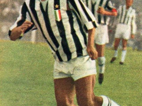 Bruno Nicolè