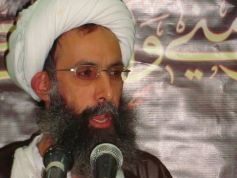 Nimr al-Nimr