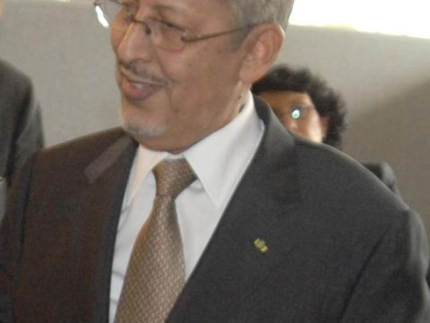 Sidi Ould Cheikh Abdallahi