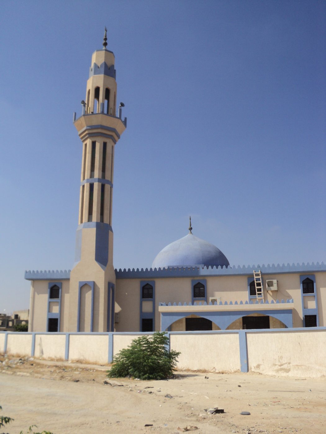 Suhayl ibn Amr