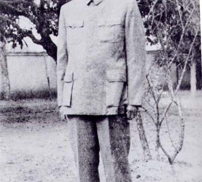 Tao Zhu