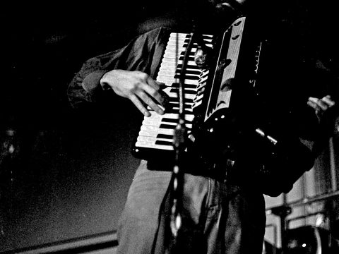 Garth Hudson