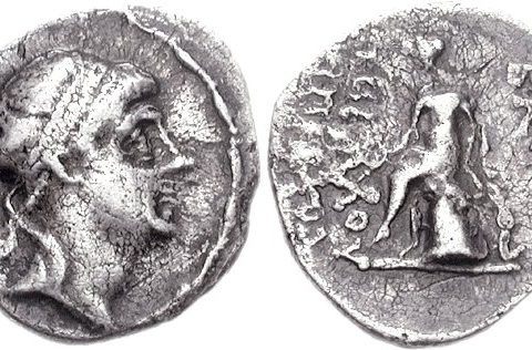 Timarchus