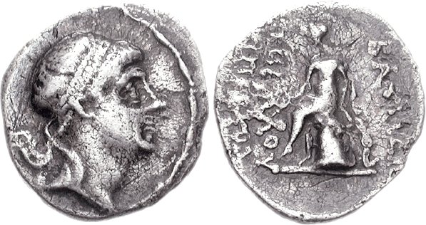 Timarchus