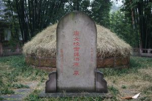Wang Tao