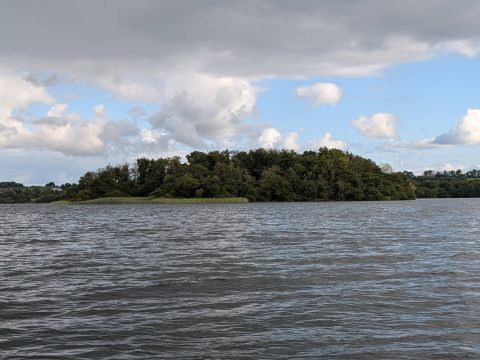 Turgesius