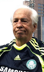 Valdir Joaquim de Moraes