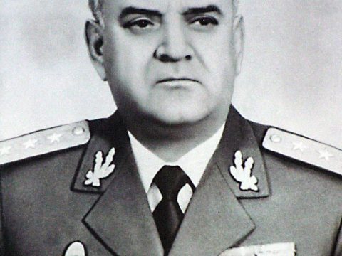 Vasile Milea
