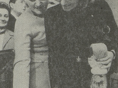 Vesna Vulović