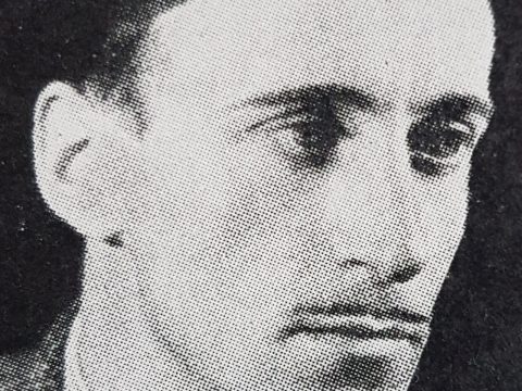 Wilhelm Freddie
