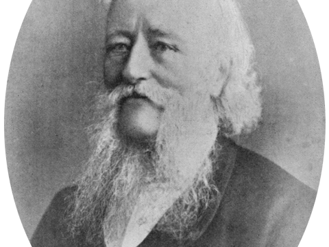 William Colenso