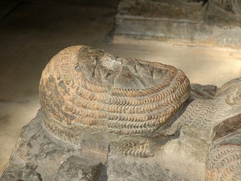 William Marshal, 1st Earl of Pembroke